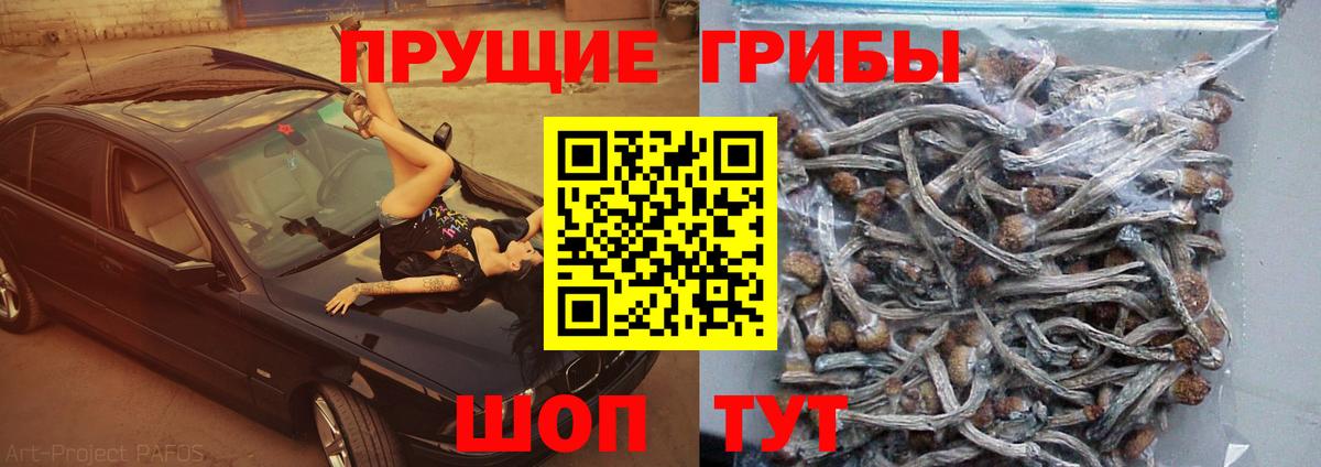 Кондопога  Псилоцибиновые грибы MAGIC MUSHROOMS  Вход с VPN 